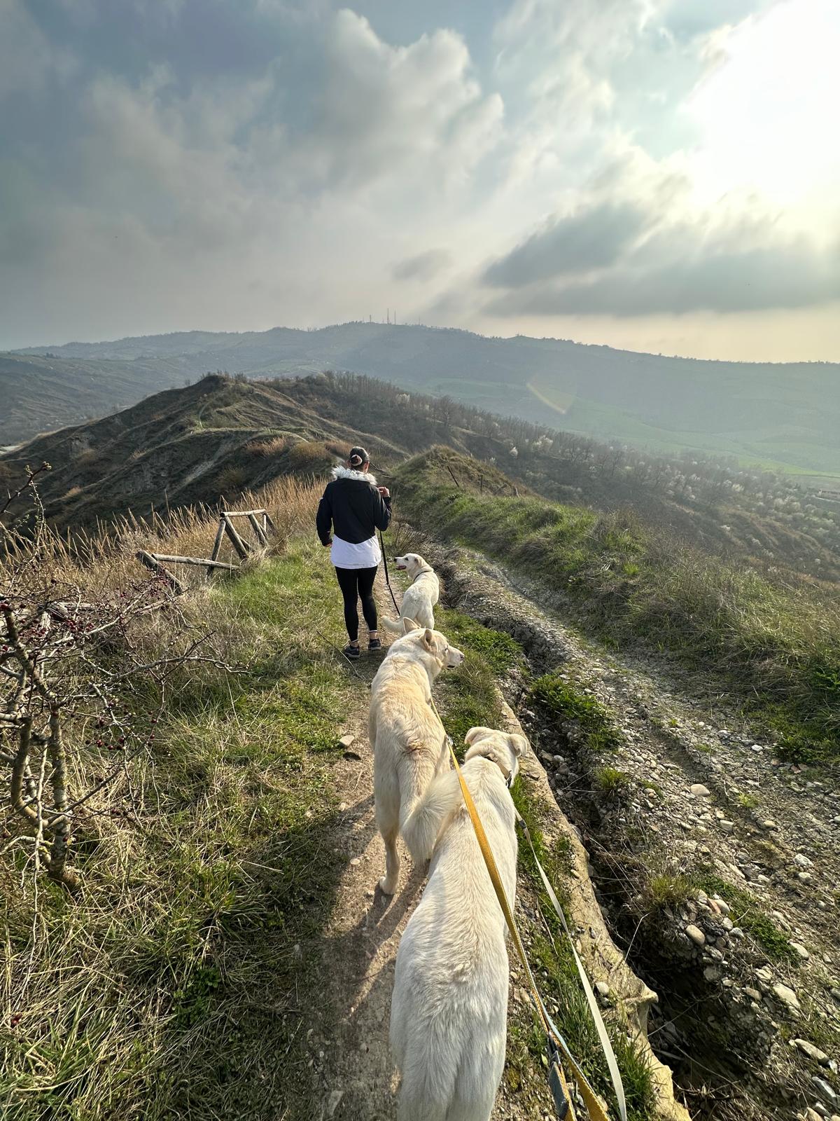 Trekking lungo 2 ore calanchi LuogoRaro Valle del Sorsa Cesena