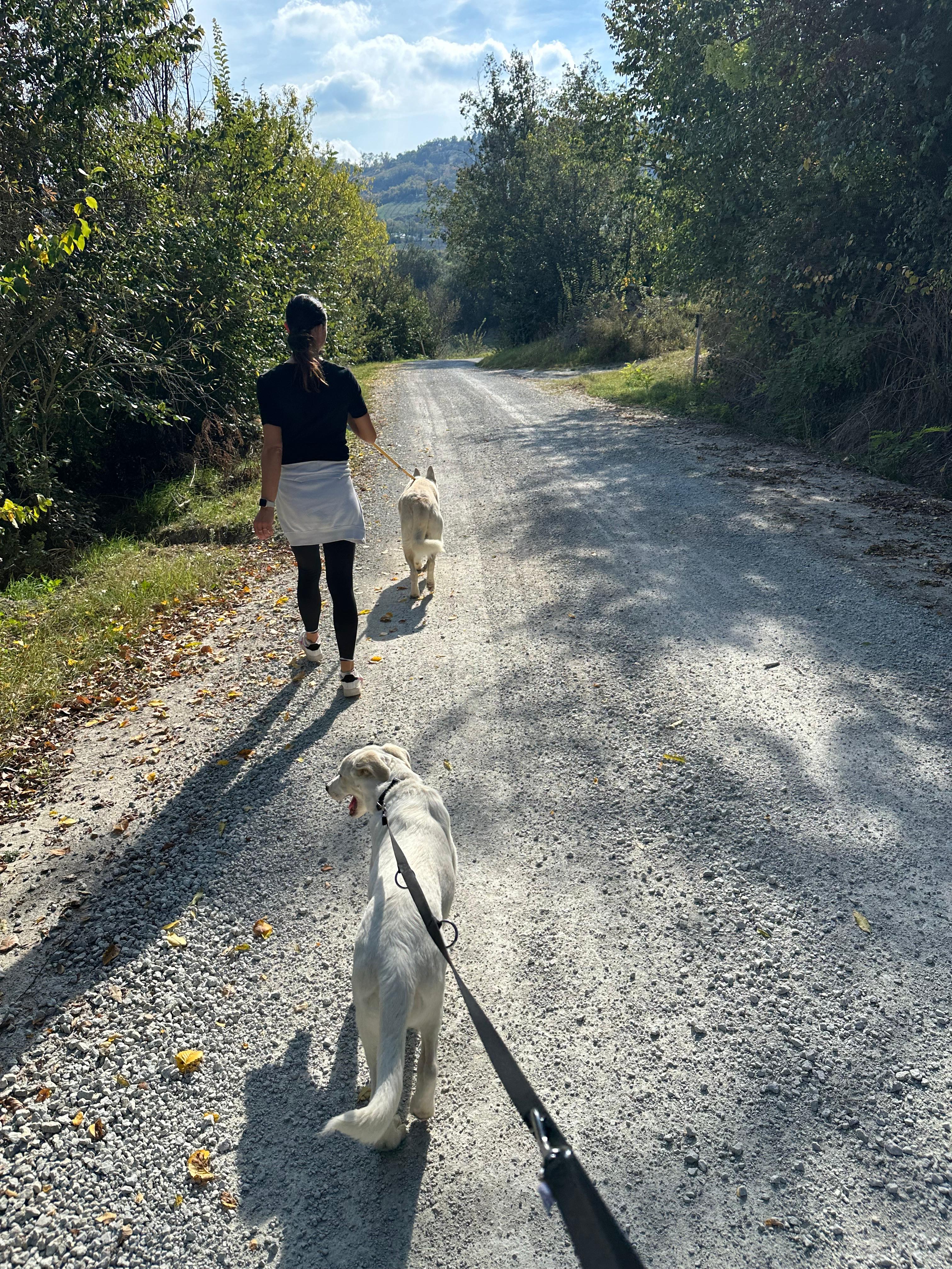Passeggiata breve Valle del Sorsa Cesena adatta a tutti