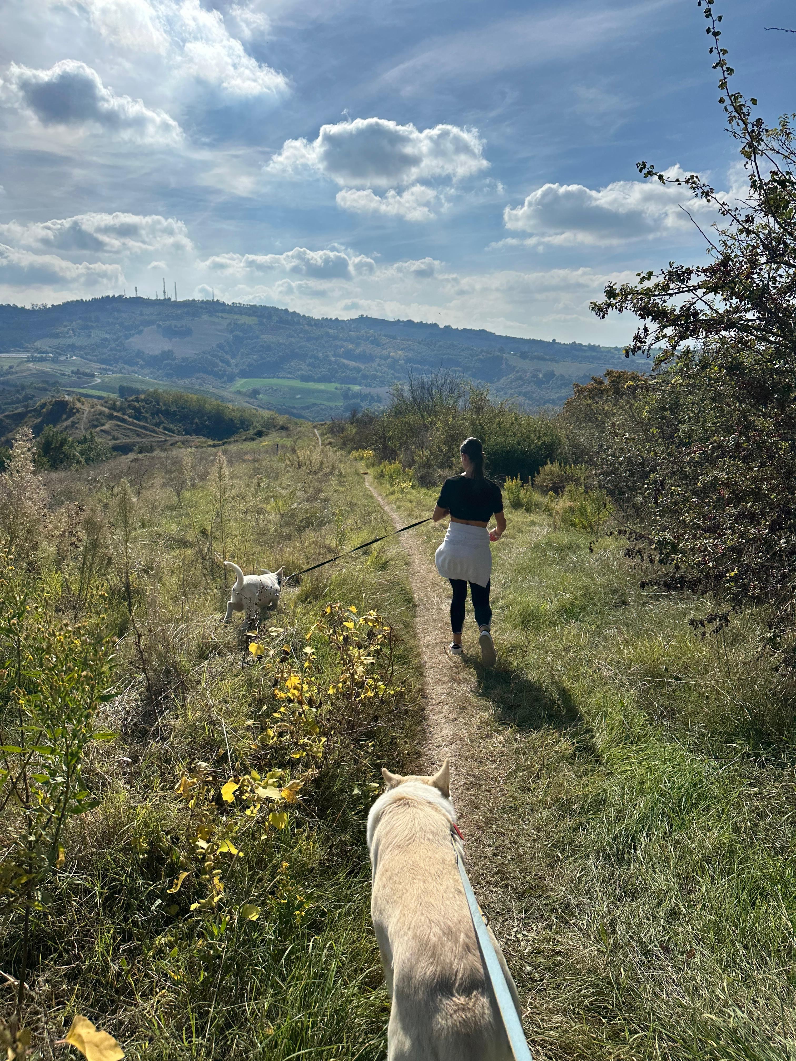 Trekking un ora calanchi Valle del Sorsa Cesena Romagna