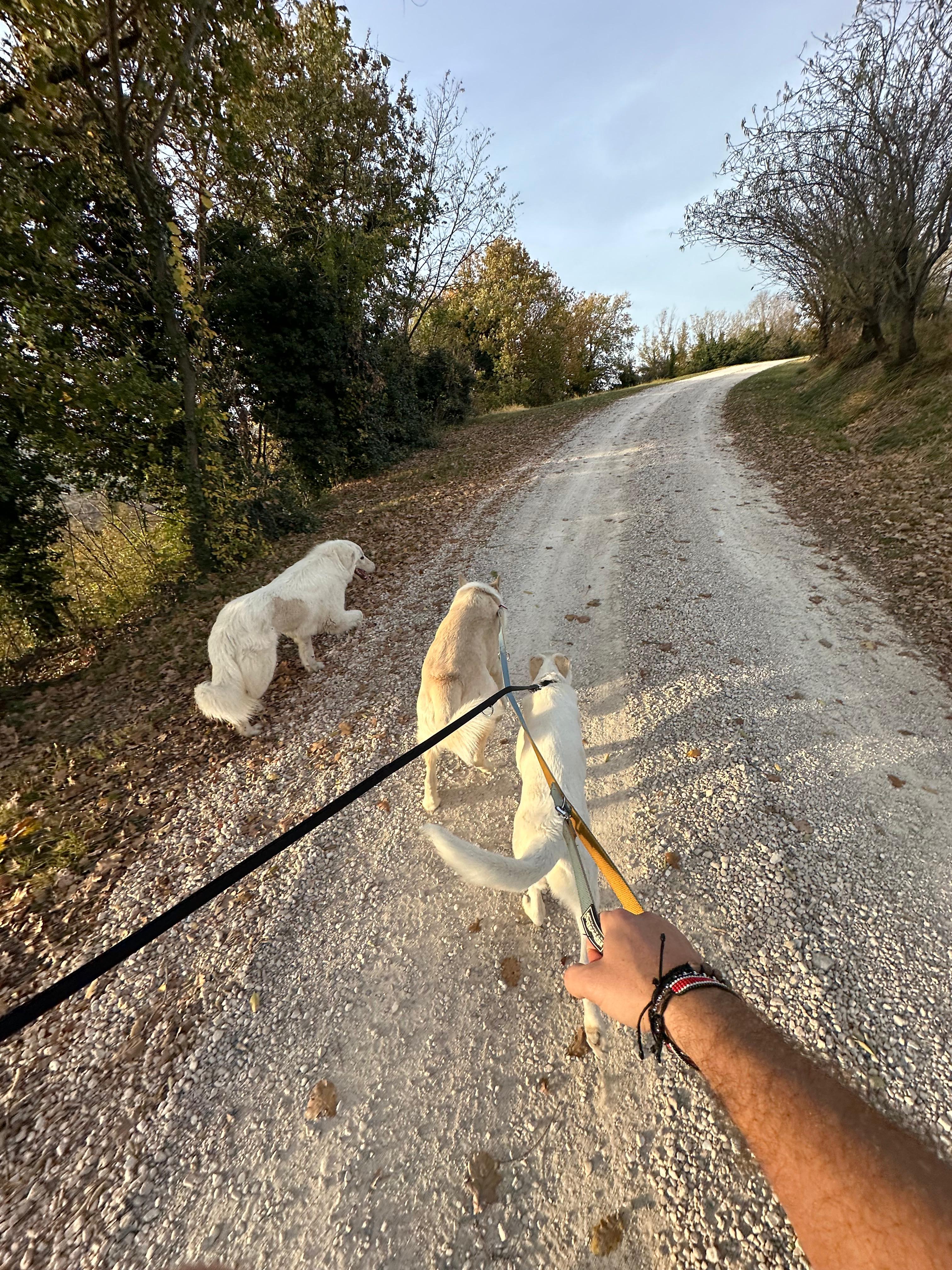 Gita in famiglia Valle del Sorsa Cesena Romagna bambini